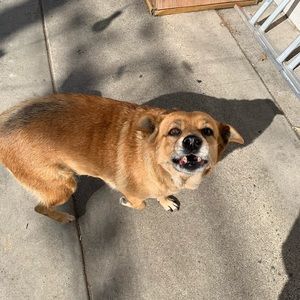 Meet your Posher, Eduardo